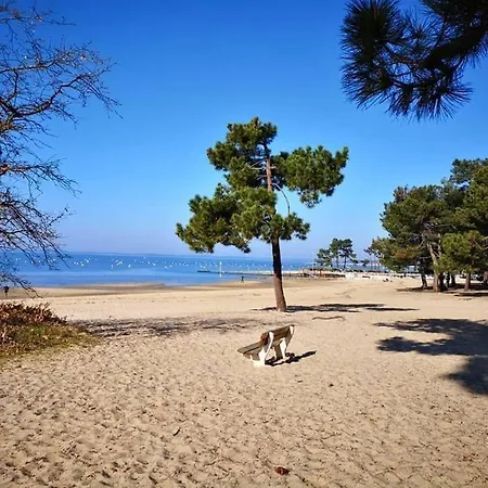 5-star With Swimming Pool Bassin D'arcachon Mios